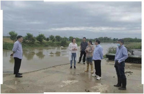 黃陂區科學應對暴雨來襲，多措并舉筑牢防汛排澇安全防線