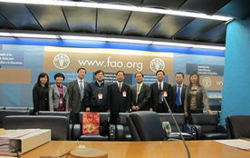 技術推廣服務中心 驅動創(chuàng)新與產(chǎn)業(yè)升級的核心引擎